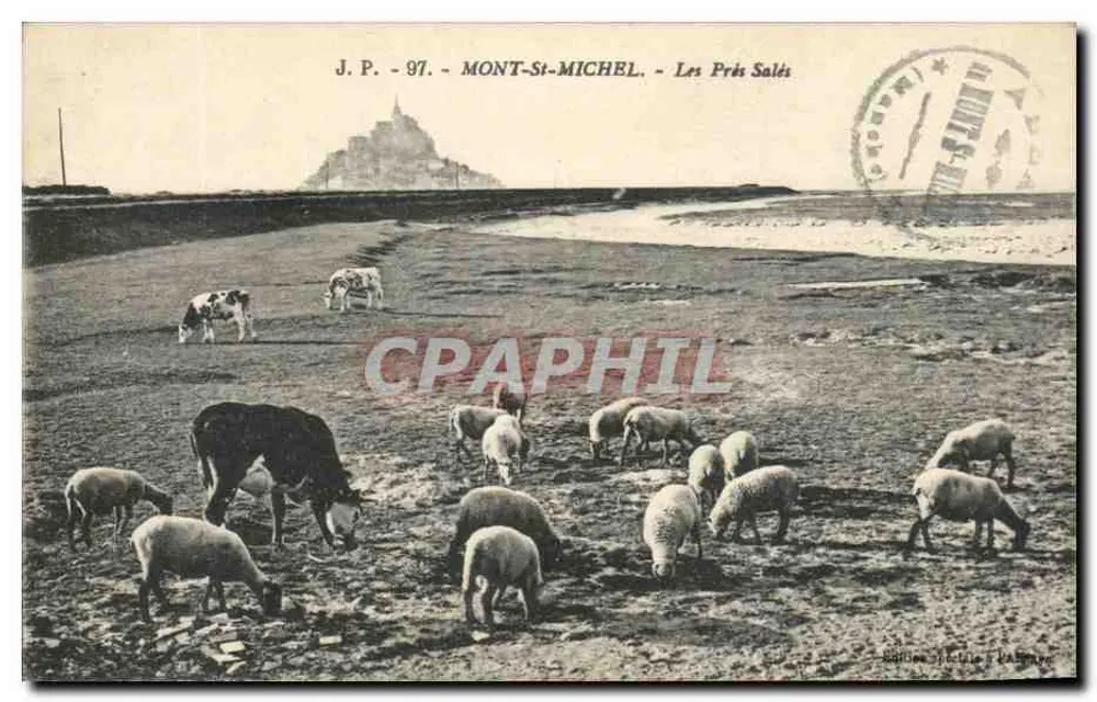 Mont-Saint-Michel - Les Prés Salés — J.P. - 97 — Édition Bailleul & Valgave - Vorderseite