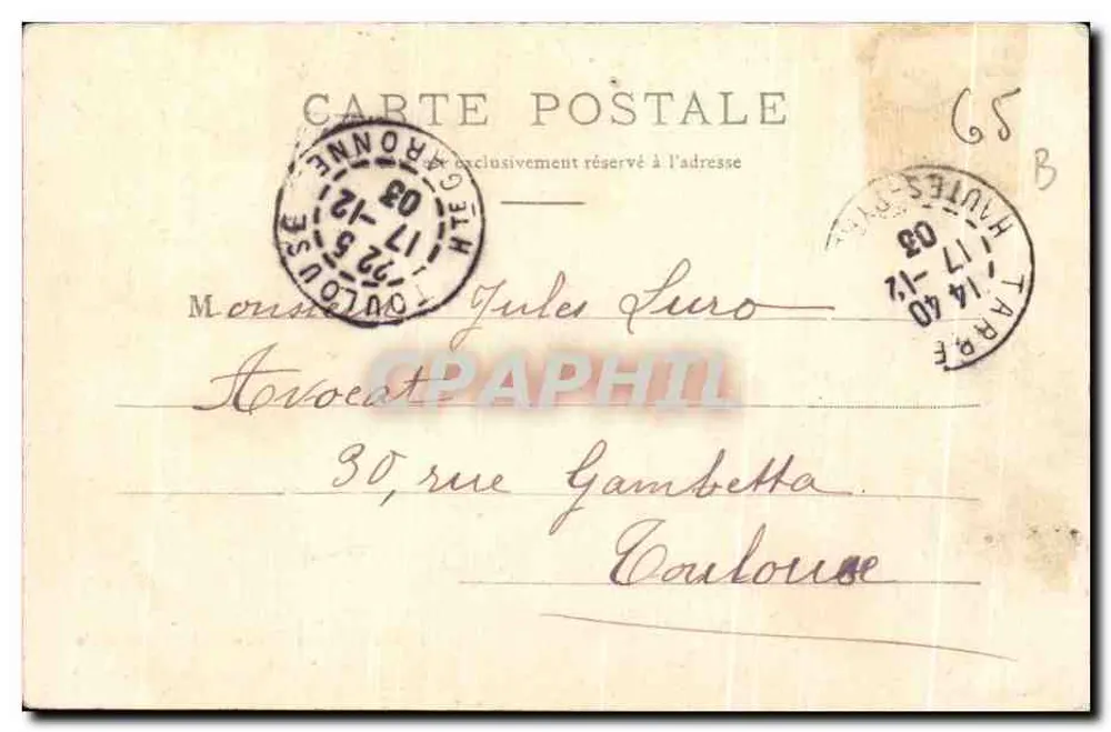 Tarbes — Jardin Massey — Hauptallee — A. V. Verlag, Tarbes - Rückseite