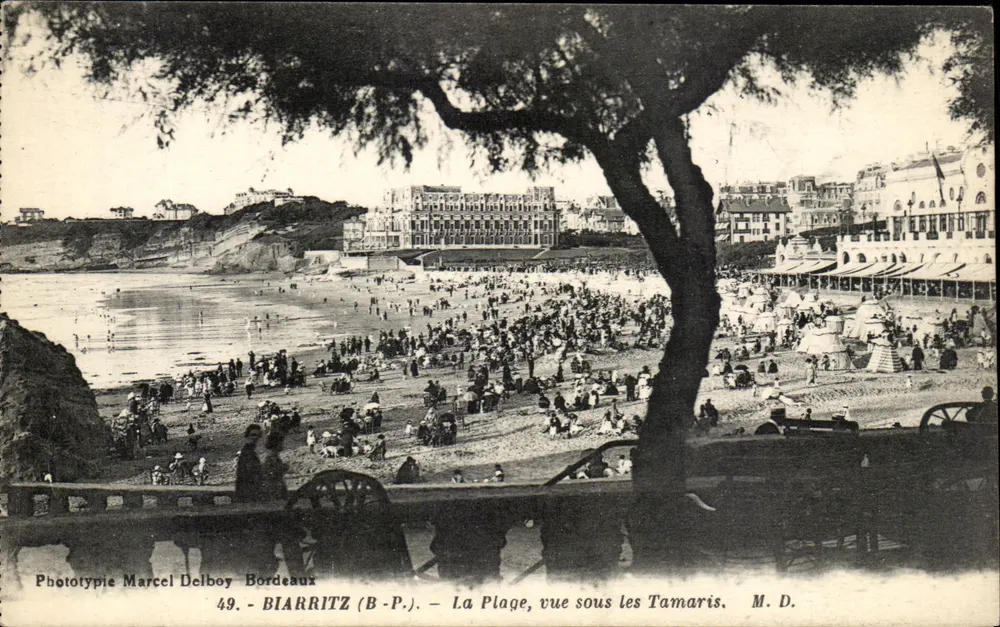 Biarritz (B-P.) — Die Strandpromenade, Ansicht unter den Tamarisken — Phototypie Marcel Delboy, Bordeaux, n°49 - Vorderseite