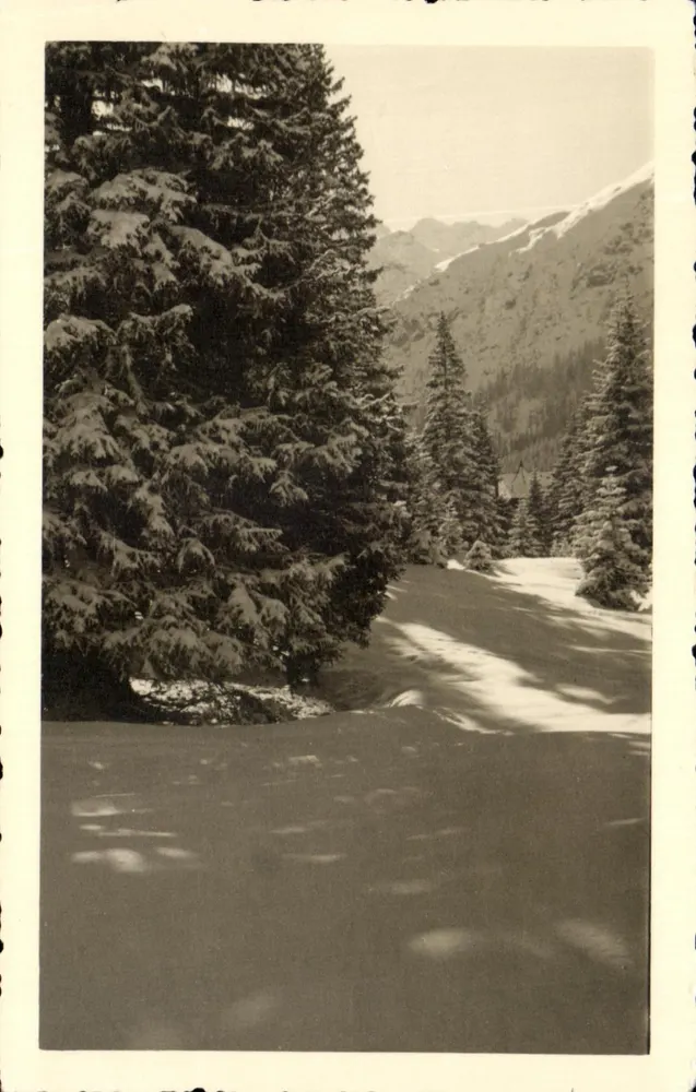 Paisagem invernal nas montanhas — editor desconhecido, número de série não visível - Frente