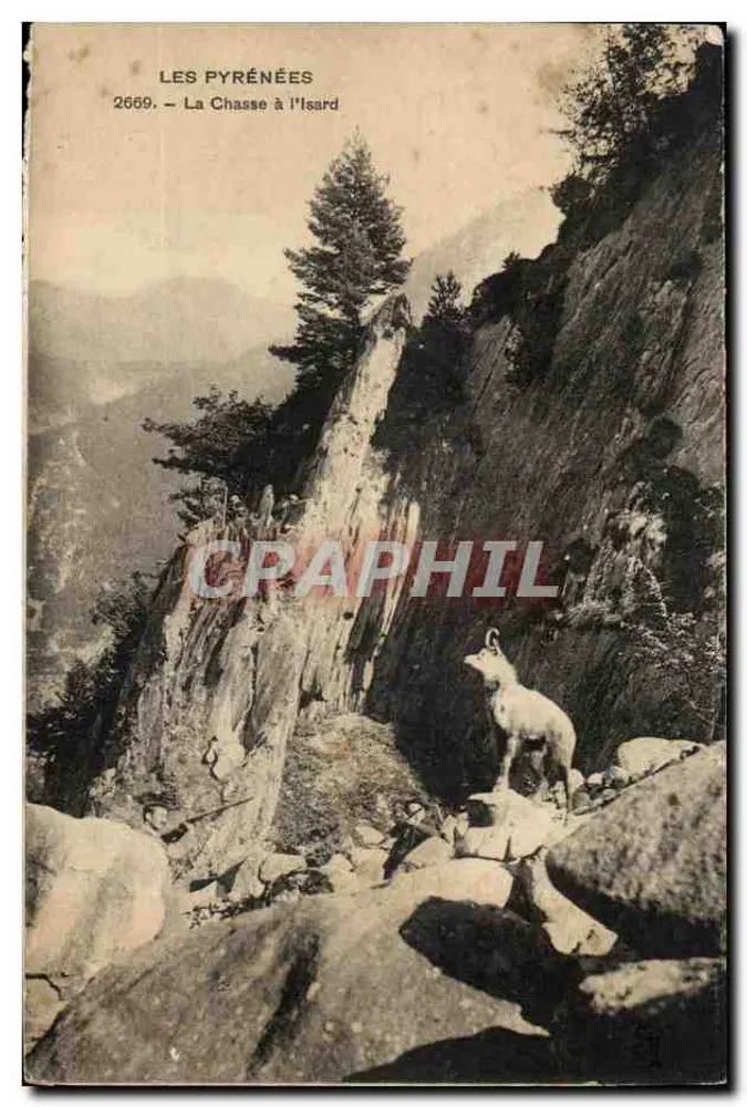 Os Pirineus — A Caça ao Isard — n°2669 - Frente