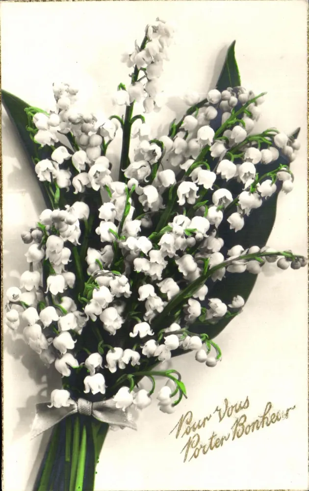 मुगुएट का बौक्वेट — आपके लिए शुभकामना — एडिटर अज्ञात, श्रृंखला नंबर 2141 - आगे