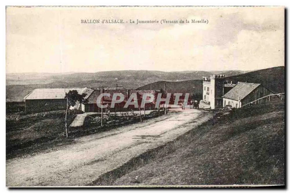 Ballon von Elsass - Die Zuchtstätte (Hang der Mosel) — Ansichtskarte 'La Cigogne', Straßburg - Vorderseite