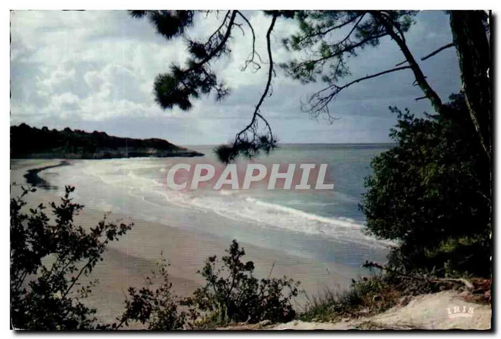 Strand von Houesga — Aussicht von einer Klippe — Éditions Diplôme de la Poste - Vorderseite