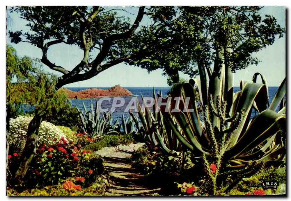 Die Strände der Süße — Côte d'Azur — Mexichrome-Editionen - Vorderseite