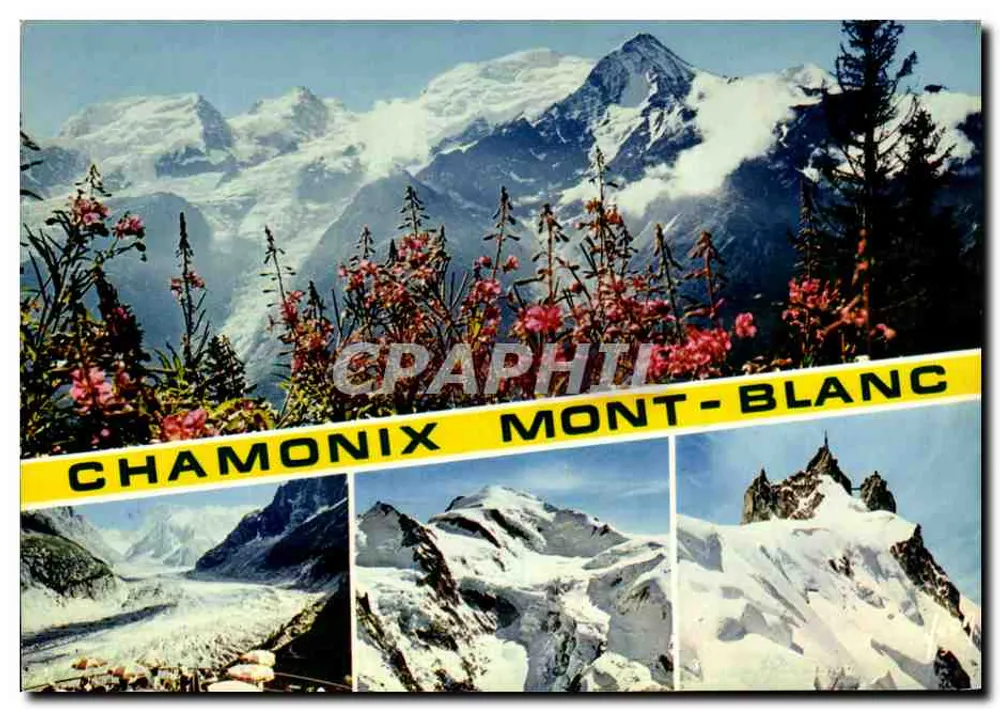 Chamonix Mont-Blanc — vista panorâmica com glaciares — n°12049 - Frente