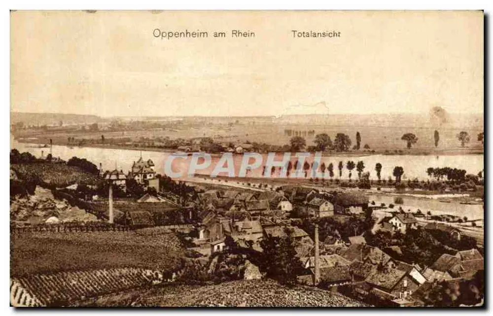 Oppenheim am Rhein — Totalansicht — Ludwig Feist, Mainz - Frente