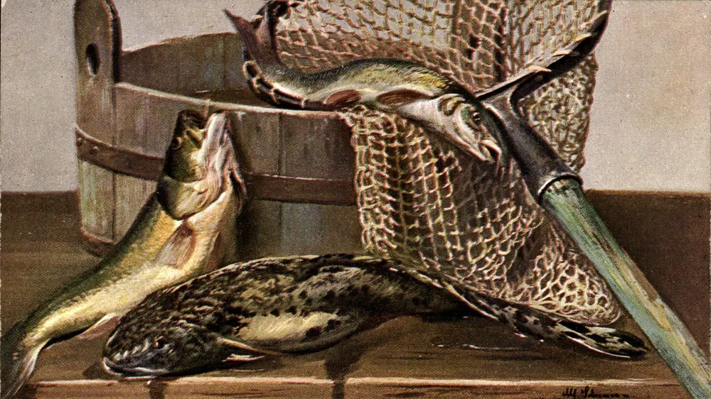 Pescaria — Peixes em um balde e em uma cesta — H. J. Hansen - Frente