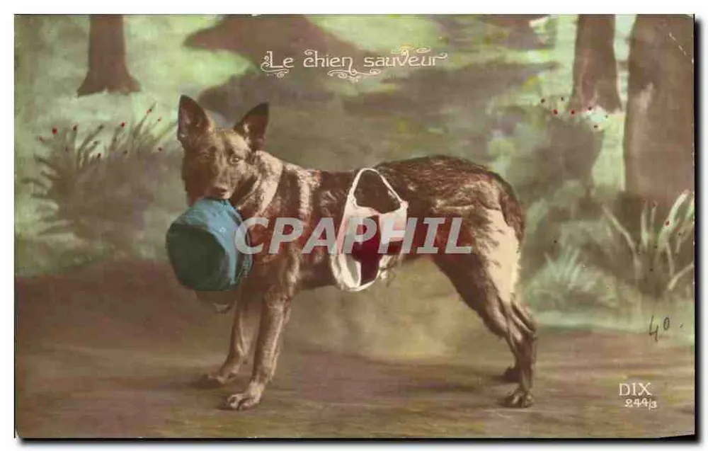 Der Retterhund — Ausgabe DIX n°2443 — Verleger DIX - Vorderseite