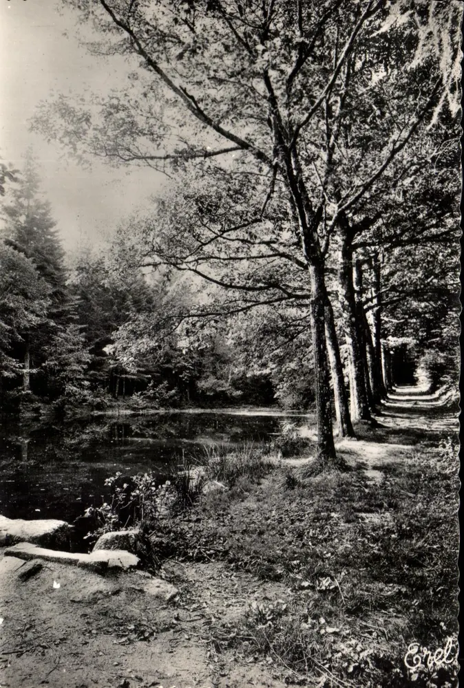 Étang des Pépinières — La Jonchère (H.V.) — Éd. Chaupelier Pillard - Frente