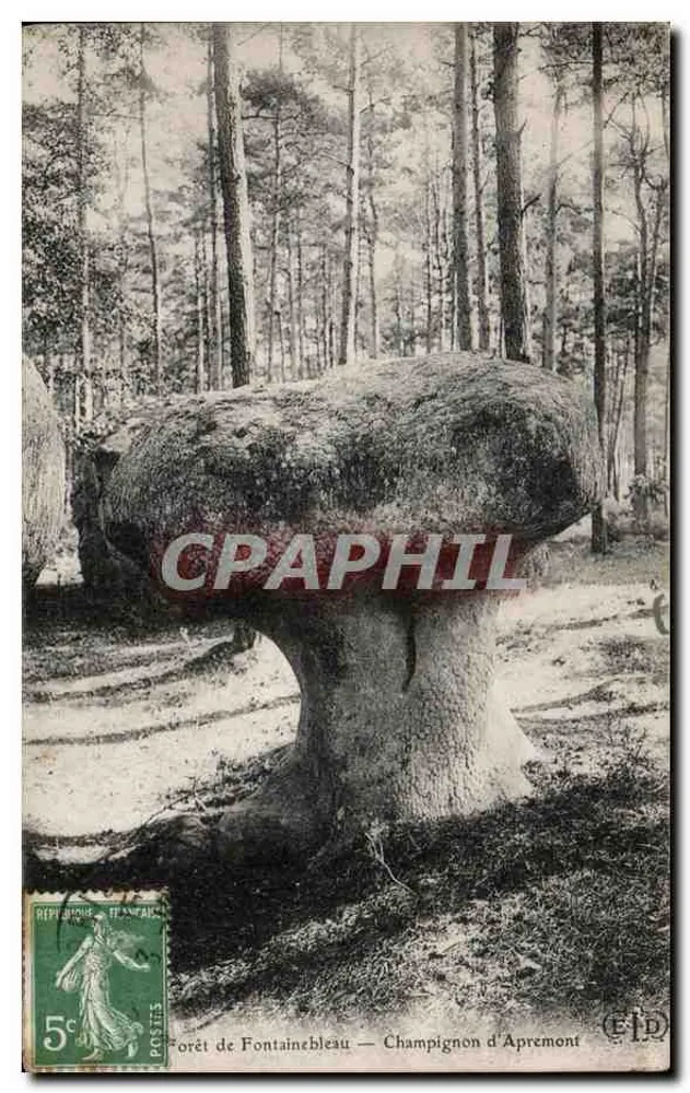 Floresta de Fontainebleau — Champignon d'Apremont — Edição EID - Frente