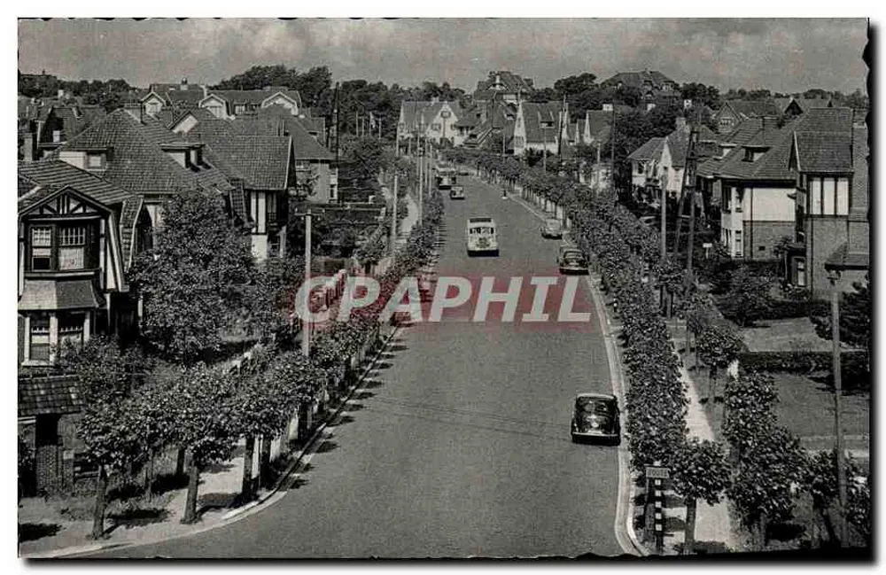 Knokke-Zoute — Avenue Elisabeth — Thill Photolith, n° 61 - Anverso