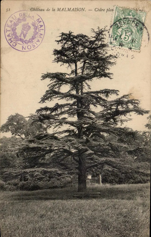 Castelo de MALMAISON — Cedro plano — Editor N°51 - Frente