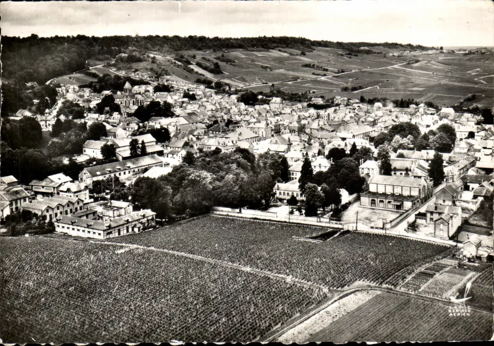 Avize (Marne) — vista geral — Service Aérien - Frente