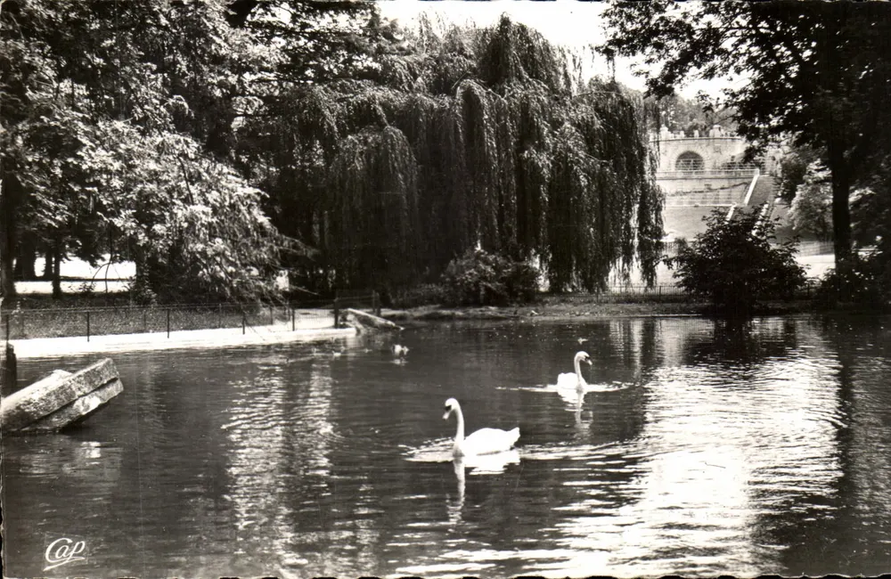 Piscina com cisnes — Jardim da cidade — Cap - Frente
