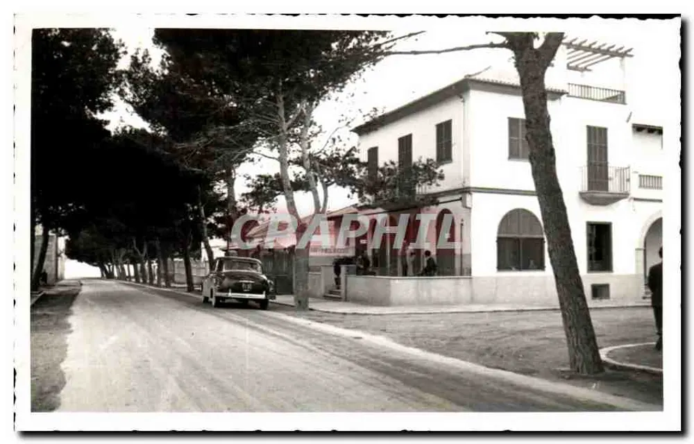 Bäumchen gesäumte Straße mit Auto — Palma de Mallorca — Verlag E. Hausmann - Vorderseite