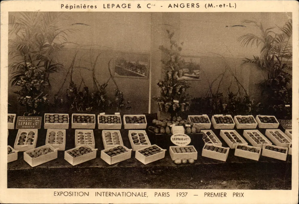 Züchtung LEPAGE & Cie - ANGERS (M.-et-L.) — Internationale Ausstellung, Paris 1937 — Erster Preis - Vorderseite