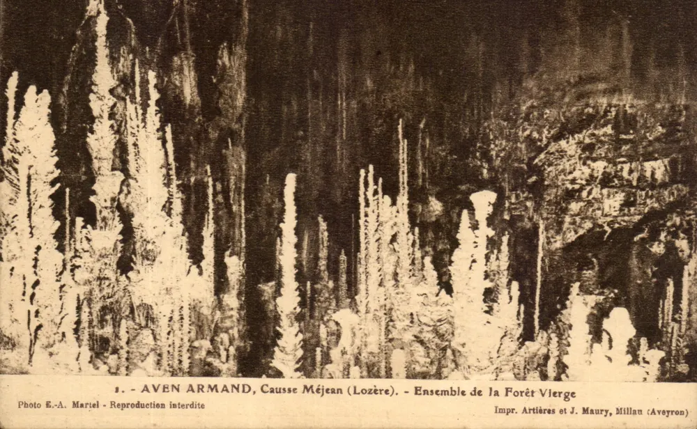 Aven Armand, Causse Méjean (Lozère) — Ansicht der Urwald — Foto E.-A. Mariel — Impr. Artières et J. Maury, Millau (Aveyron) - Vorderseite