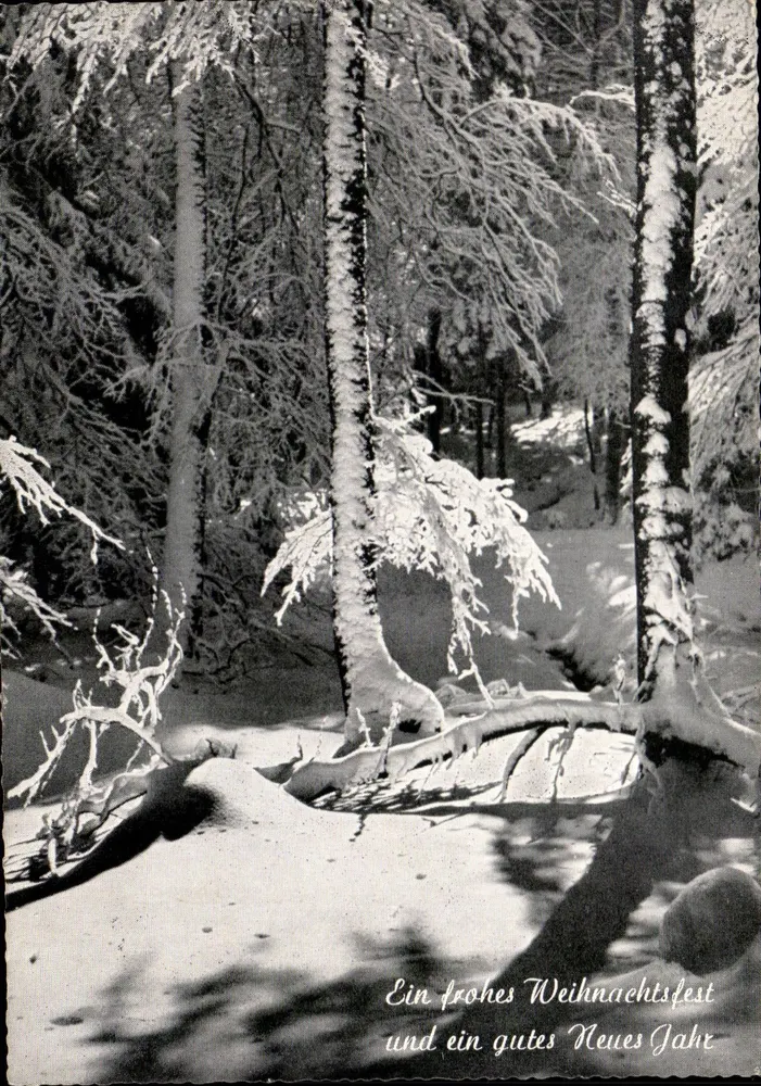 Schneefeld — Winterlandschaft — Verlag nicht sichtbar - Vorderseite