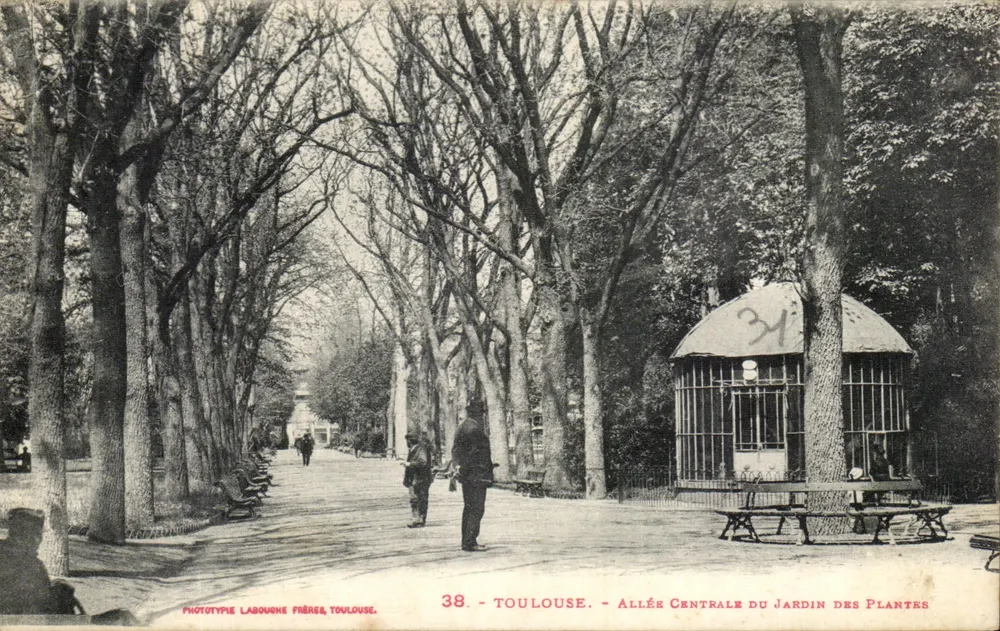 Toulouse - Zentralallee des Jardin des Plantes — Phototypie Labouche Frères, Toulouse, n°38 - Vorderseite