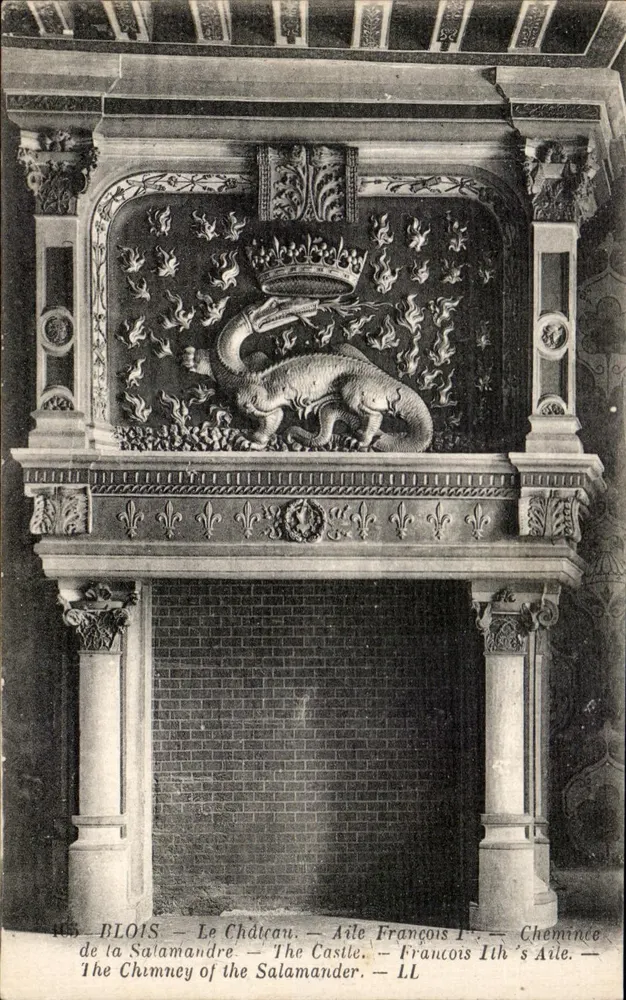Blois — Das Schloss — Flügel von François I — Salamander-Kamin - Vorderseite