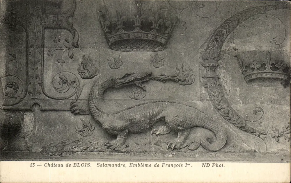 Schloss Blois — Schlampe, Wappenzeichen von Franz I. — ND Fotografie - Vorderseite