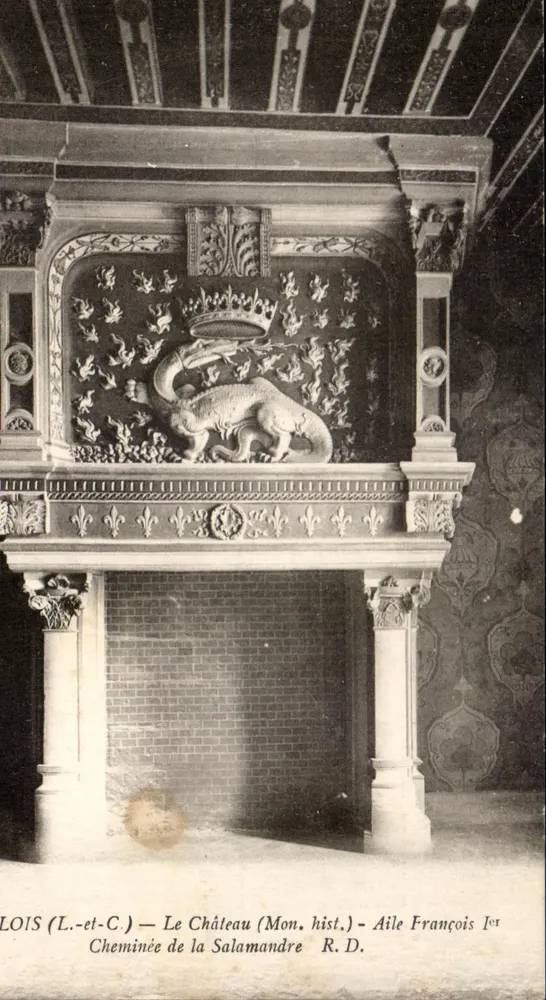 Loire (L.-et-C.) — Das Schloss (Mon. hist.) — Flügel François Ier — Salamander-Kamin R.D. - Vorderseite