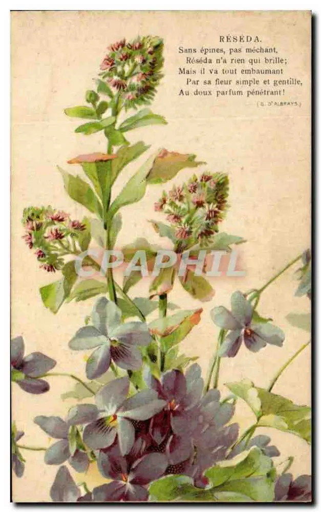 Reseda — blütenlose Pflanze, zartes Aroma — K. F. Éditeurs, Paris, Serie 535 - Vorderseite