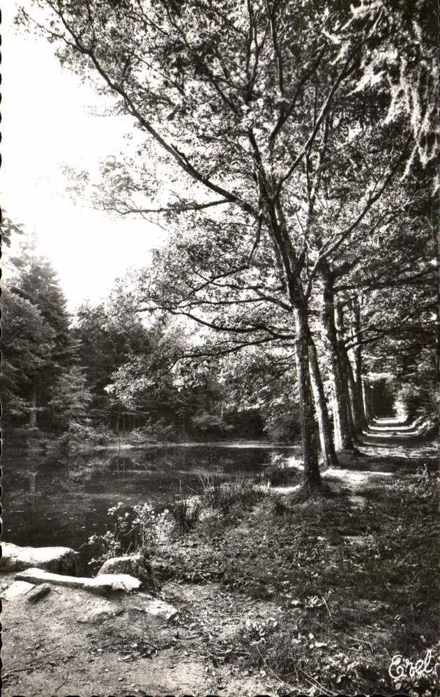 La Jonchère — Lago das Seringueiras — Ed. Chateaier-Pillard, Limoges - Frente