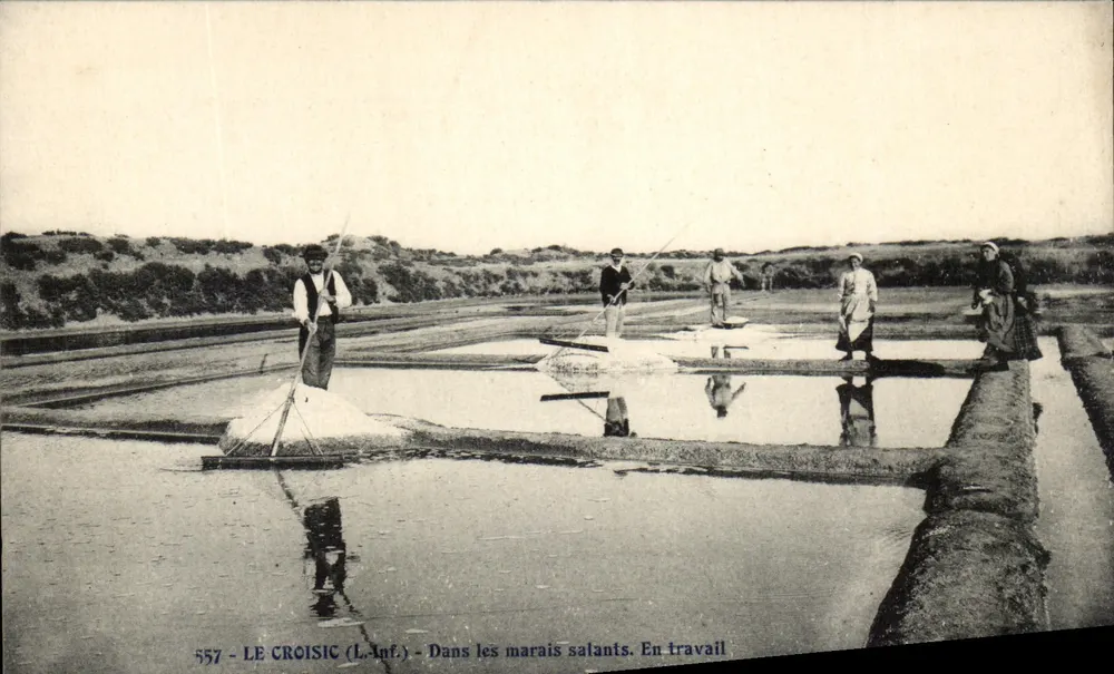 Le Croisic (L.Inf.) — In den Salzseen. In Arbeit — n° 557 - Vorderseite