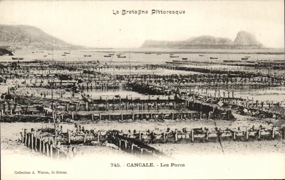 Cancal - Les Parcs — Sammlung A. Waron, St-Brieuc — n° 745 - Vorderseite