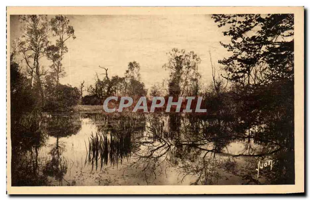 Fontainebleau (Seine-et-Marne) — Die Wälder - Das Fabeltier-See — Les Éditions d'Art Yvon, Paris - Vorderseite