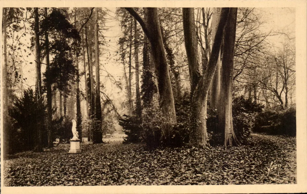 Fontainebleau (Seine-et-Marne) — Gärten des Palastes - Allee der Platane — Éditions d'Art Yvetot - Vorderseite