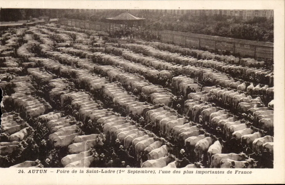 Autun — Foire de la Saint-Ladre (1er Septembre), l'une des plus importantes de France — éditeur impr. sur la carte n°24 - Vorderseite