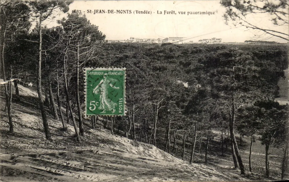 St-Jean-de-Monts (Vendée) — La Forêt, vue panoramique — éditeur Arlond (n° 1637) - Vorderseite