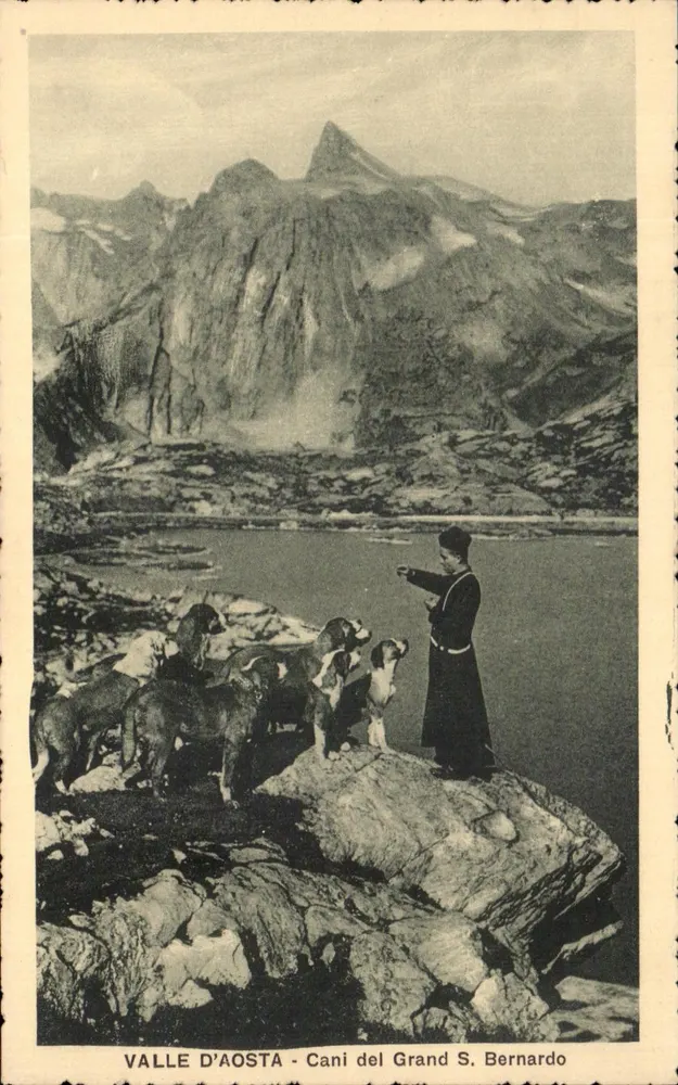 Valle d'Aosta - Cani del Grand S. Bernardo — Giorgis succ. Juste Vittaz-Edition - Vorderseite