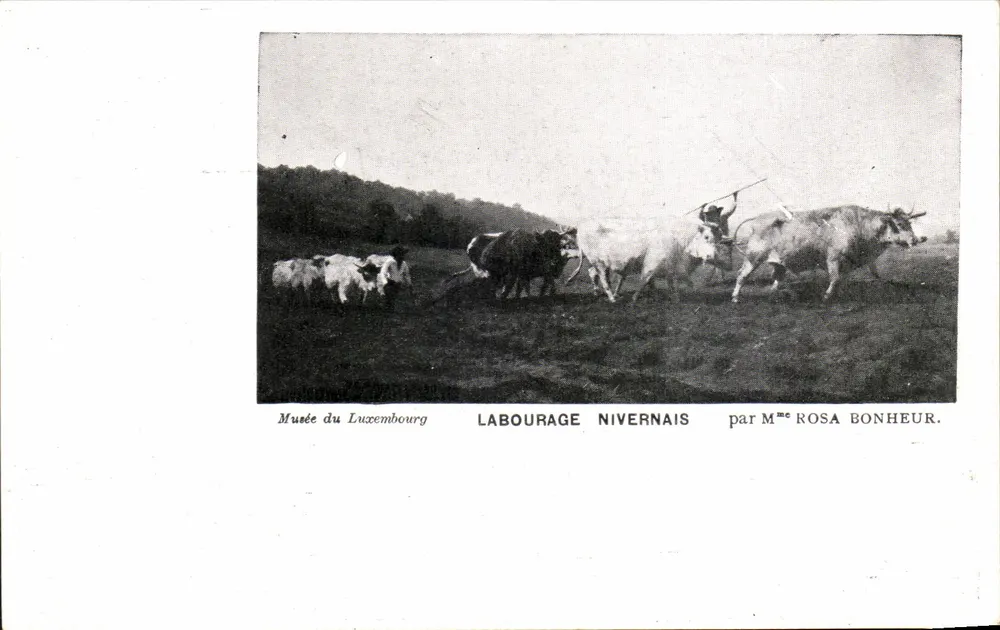 Nivernaisches Pflügen — Museum des Luxembourg — von Madame Rosa Bonheur - Vorderseite