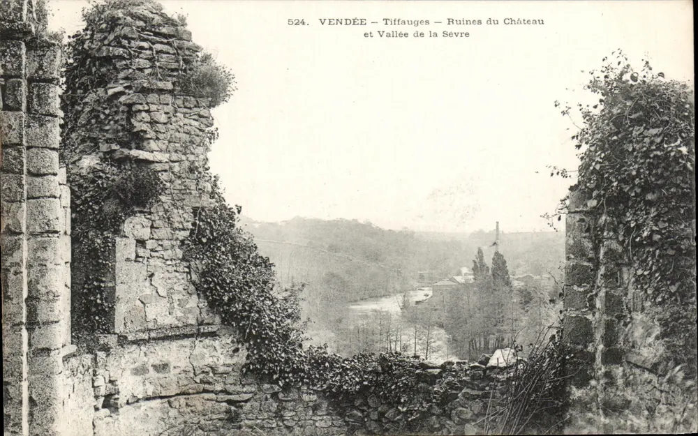 Vendée - Tiffauges - Ruinen des Schlosses und Tal der Sèvre — n° 524 - Vorderseite