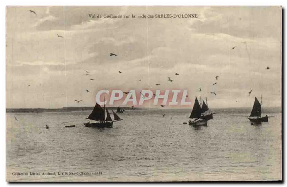 Vol de Goélands sur la rade des SABLES-D'OLONNE — Collection Lucien Amiaud, n° 4414 - Vorderseite
