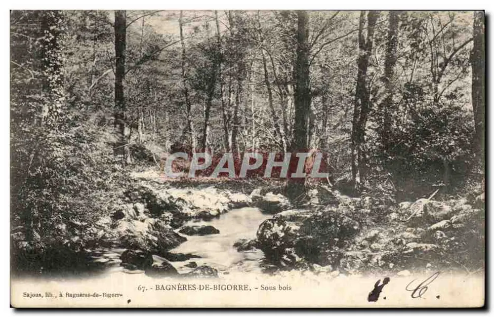 Sajous, a Bagnères-de-Bigorre — Sottobosco - Recto