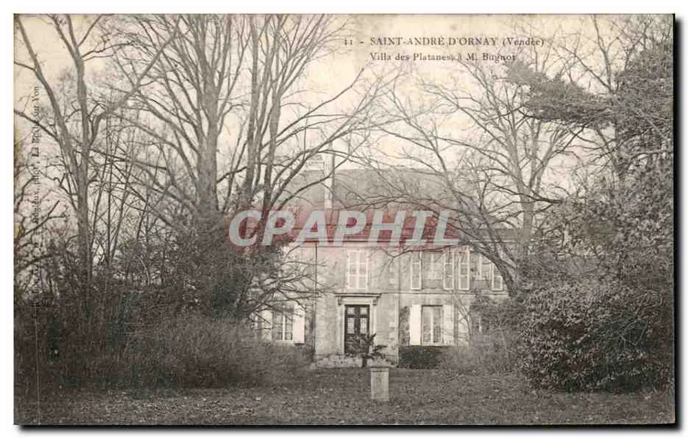 Saint-André-d'Ornay (Vendée) — Villa dos Platanes a M. Bugnot — Editor: La Boîte à Cartes - Frente