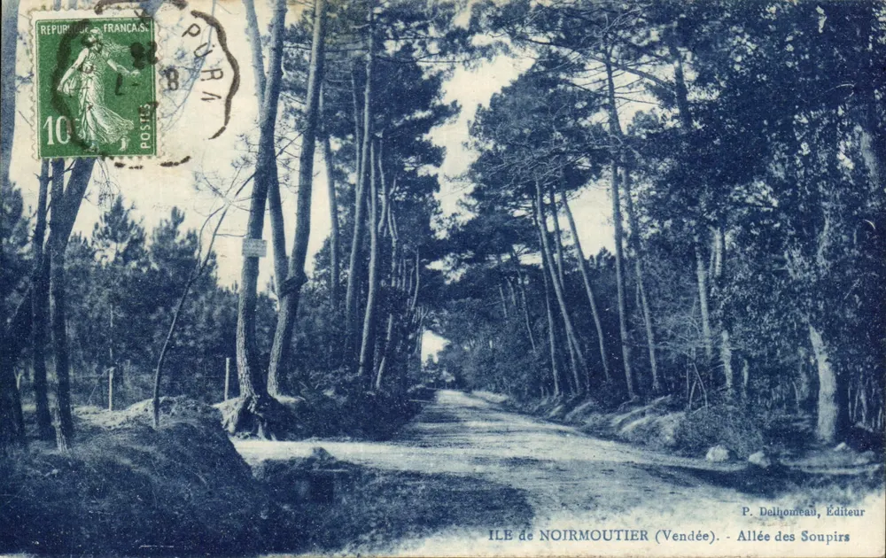 Ilha de Noirmoutier (Vendée) — Allée des Soupirs — P. Delhommeau, Editor - Frente