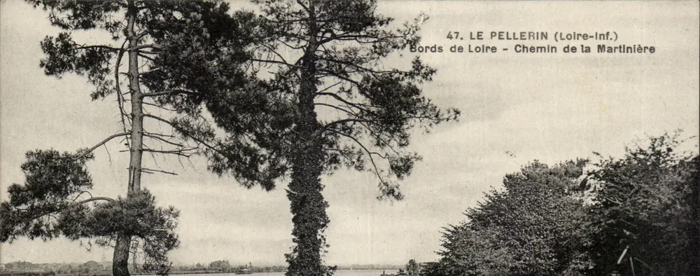Ufer der Loire - Weg der Martinière — Le Pellerin (Loire-Inf.) — Imp. Buff, Nantes - Vorderseite