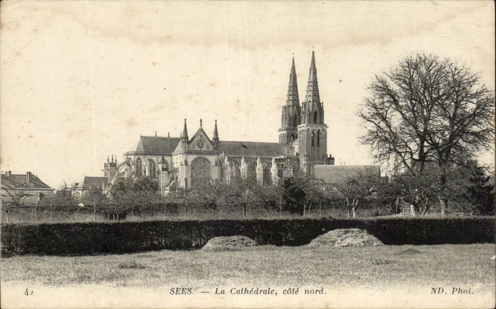 Sees — La Cathédrale, côté nord — ND. Phot. — n° 42 - Frente