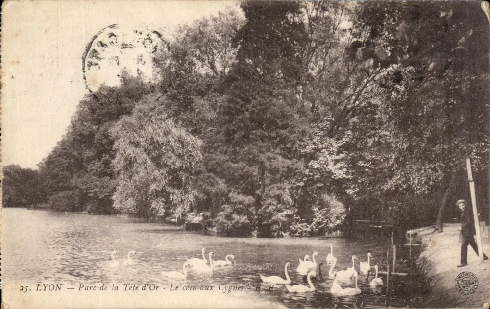 LYON — Parc de la Tête d'Or — Der Schwanenwinkel — E. R. — A. THORIAT - Vorderseite