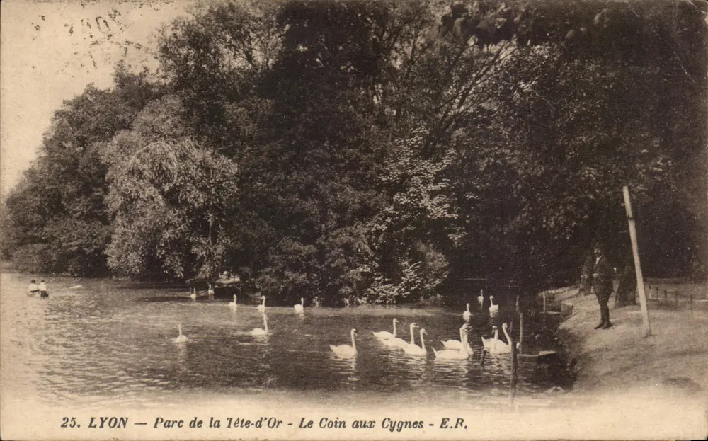 LYON — Parc de la Tête-d'Or — Der Schwanenwinkel — E.R. - Vorderseite