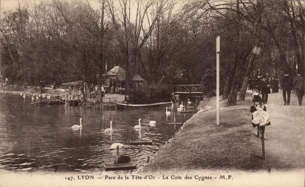 LYON — Parc de la Tête-d'Or — Le Coin des Cygnes — M.F. - Vorderseite