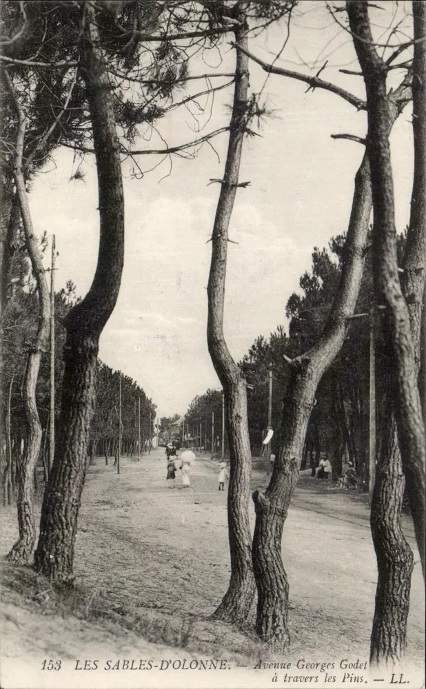 Les Sables-d'Olonne — Avenue Georges Godet durch die Kiefern — LL. - Vorderseite
