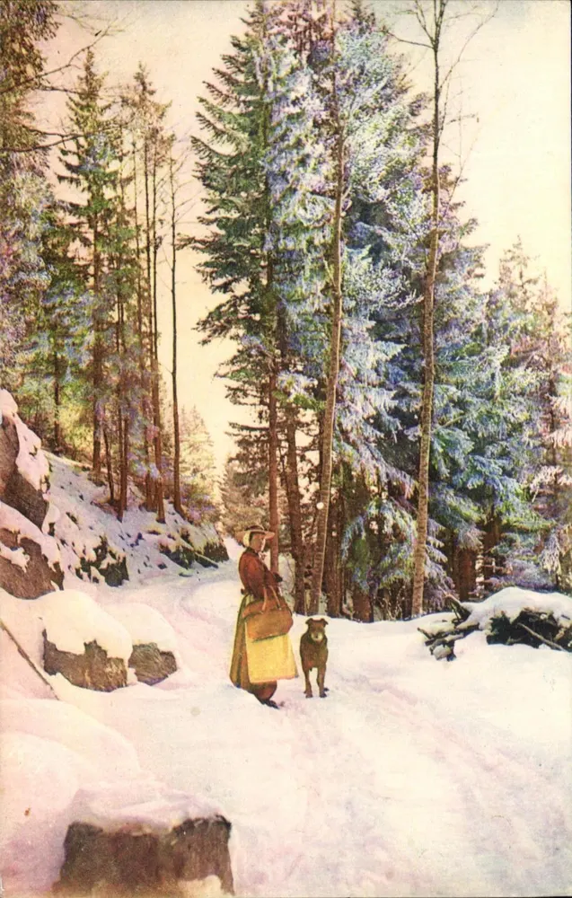 Les Sapins — Efeito de Neve — Série 3 - Frente
