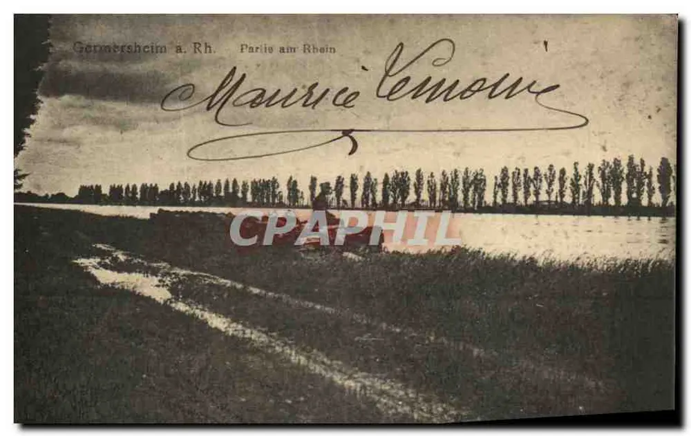 Germersheim a. Rh. — Vista del fiume e degli alberi — editore non identificato, n. serie 9 - Recto